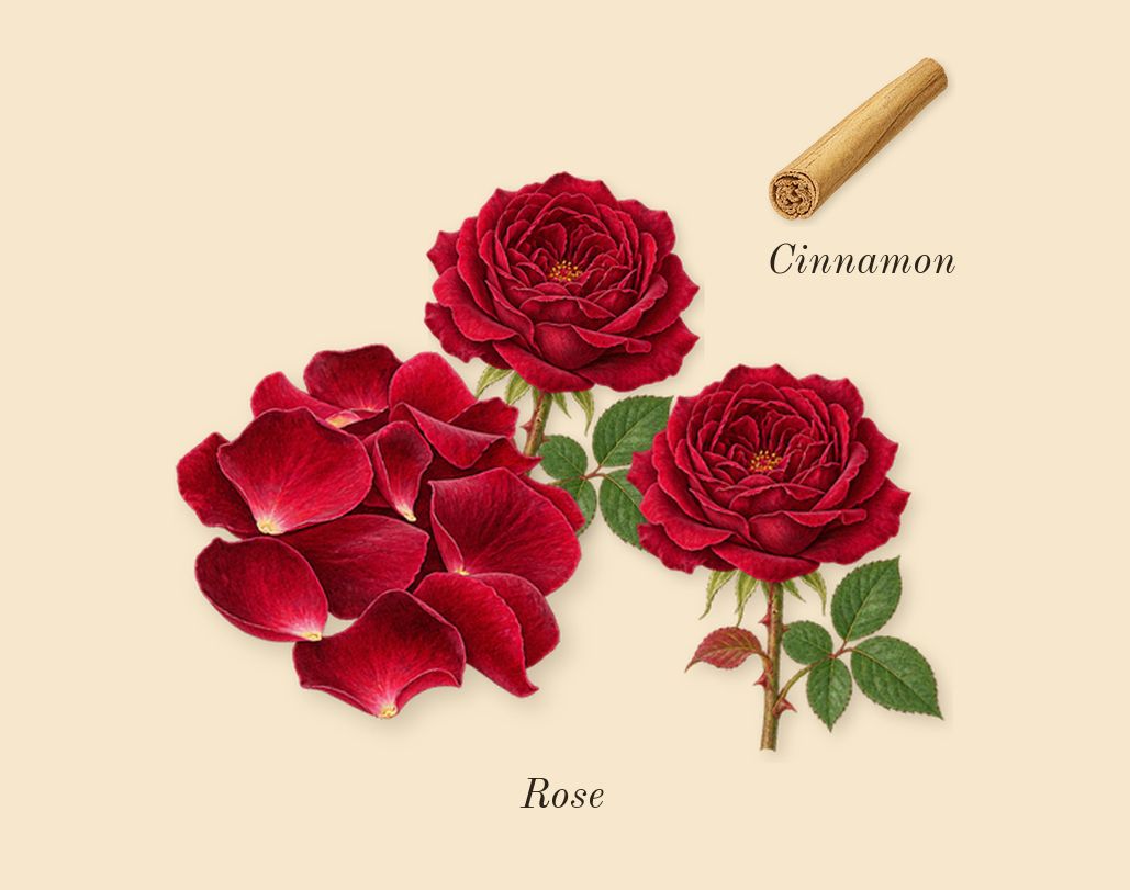 Oud Zarian, heart: Rose, Cinnamon