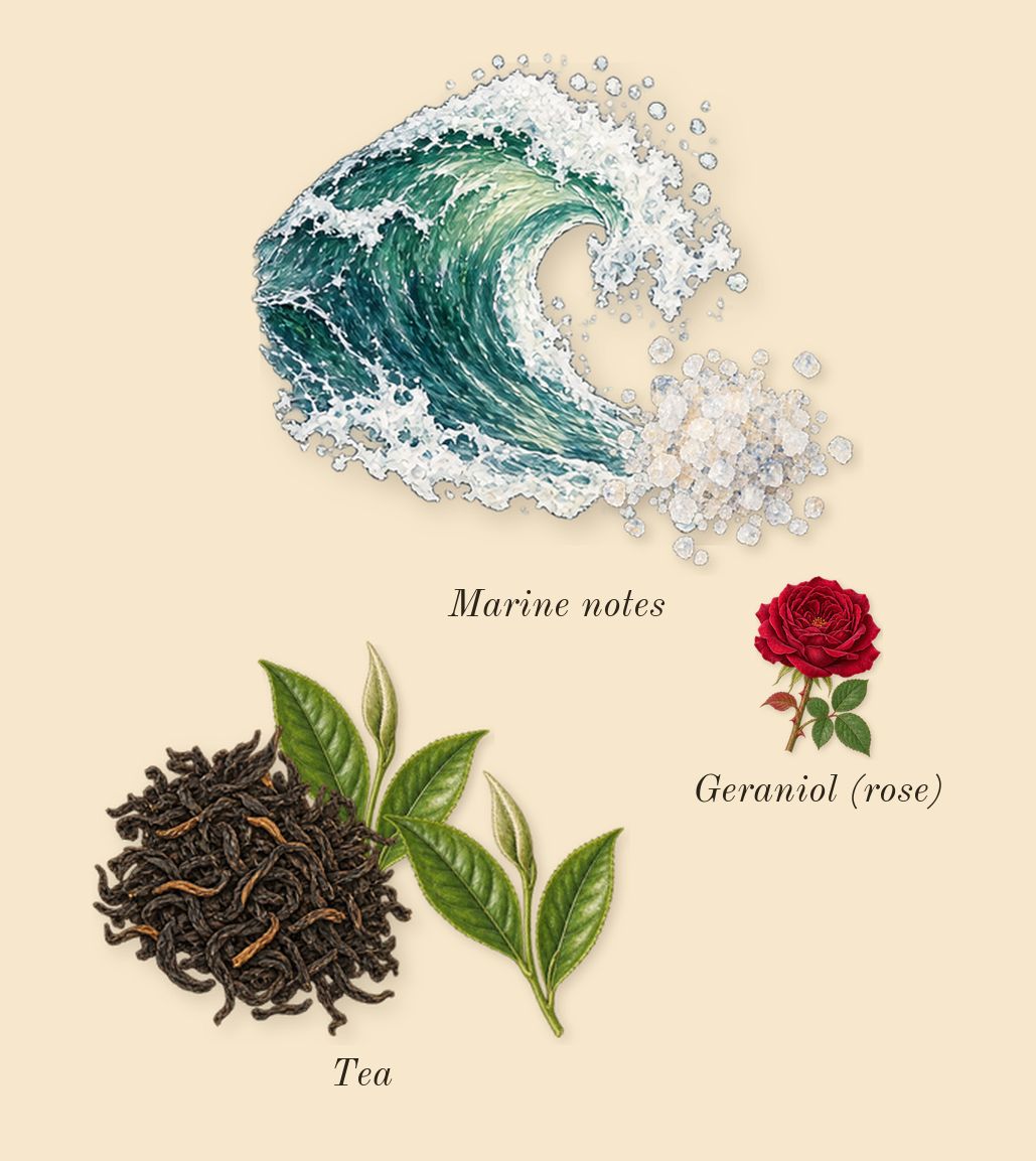 Silver Mountain Water, heart: Tea, Marine notes, Geraniol (rose)