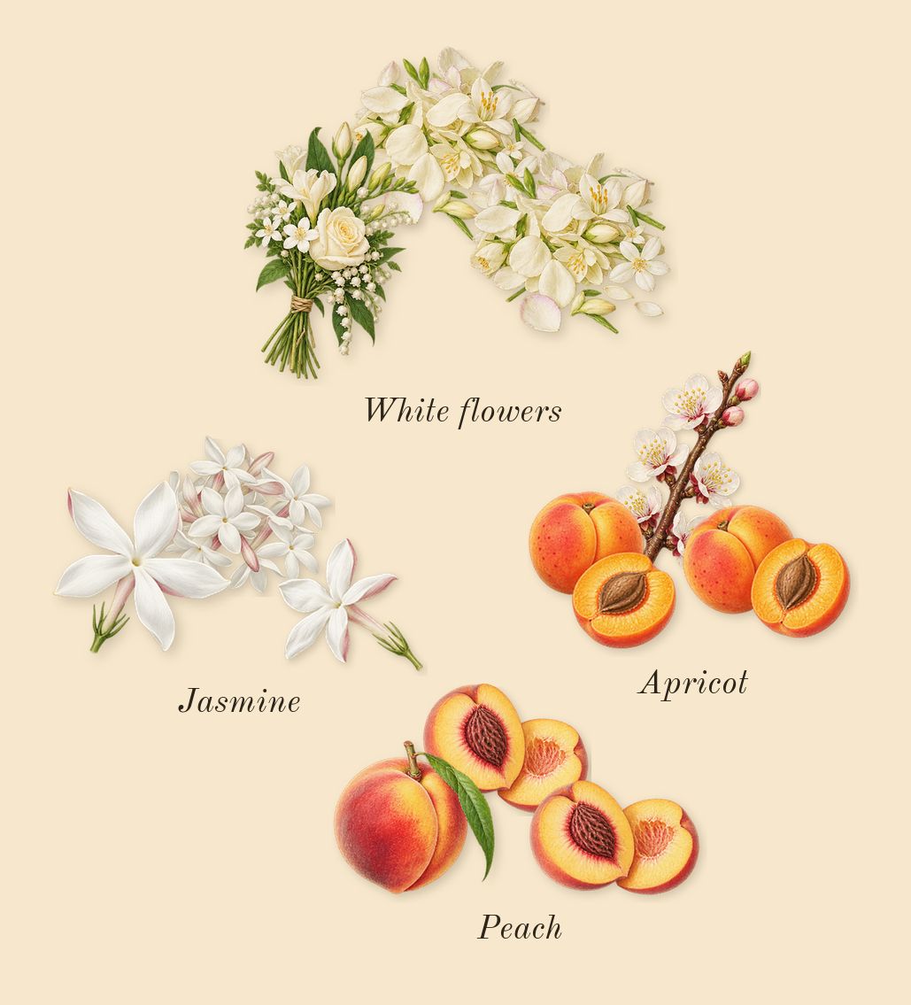 Spring Flower, heart: Apricot, Jasmine, Peach, White flowers