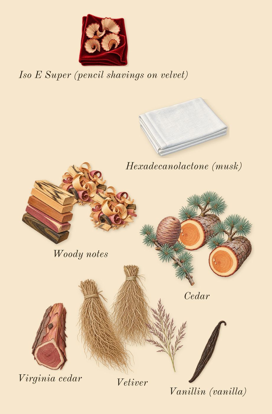 Wild Vetiver, dry-down: Vetiver, Cedar, Woody notes, Virginia cedar, Iso E Super (pencil shavings on velvet), Vanillin (vanilla), Hexadecanolactone (musk)