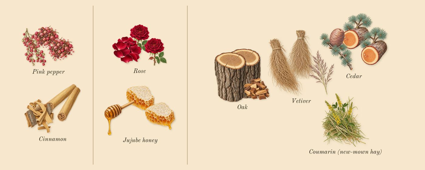 Crimson Rocks’s scent picture, a draft: pink pepper, cinnamon, rose, jujube honey, oak, cedar drawn so far; dashed outlines where nothing is drawn yet