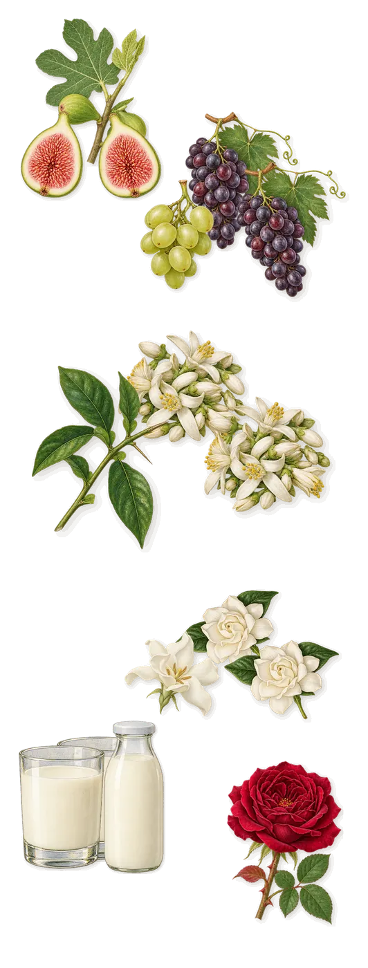 Debaser in Bloom, as it settles: Fig, Gardenia, Milk, Orange blossom, Grape, Rose