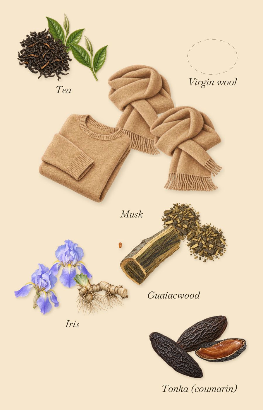 Grey Blazer, what stays: Virgin wool, Iris, Tea, Musk, Guaiacwood, Tonka (coumarin)