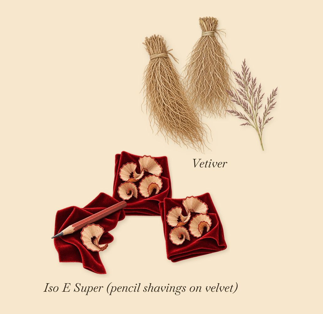 I Don't Know What, as it settles: Iso E Super (pencil shavings on velvet), Vetiver
