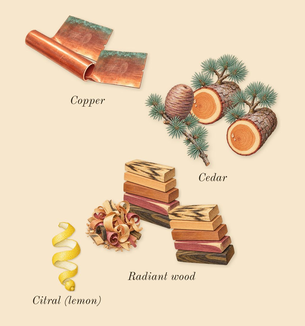 Radio Bombay, top notes: Radiant wood, Copper, Cedar, Citral (lemon)