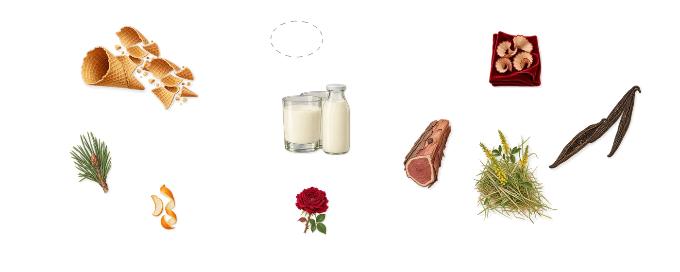 Matcha Soft Serve’s scent picture, a draft: milk, waffle cone, vanilla (vanillin), virginia cedar, iso e super (pencil shavings on velvet), coumarin (new-mown hay) drawn so far; dashed outlines where nothing is drawn yet