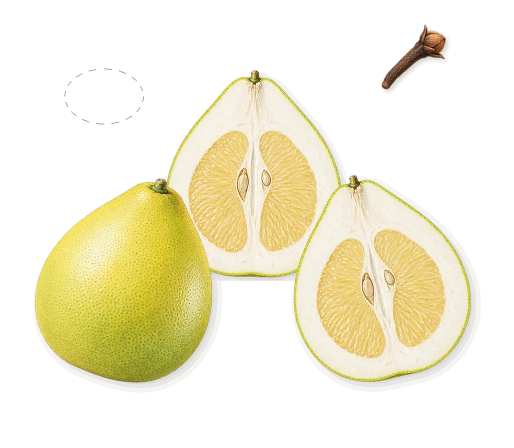 Pomelo Oolong, as it settles: Pomelo, Porcelain, Eugenol (clove)
