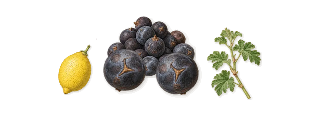 Sakura Snow, when you spray it: Juniper, Lemon, Geranium