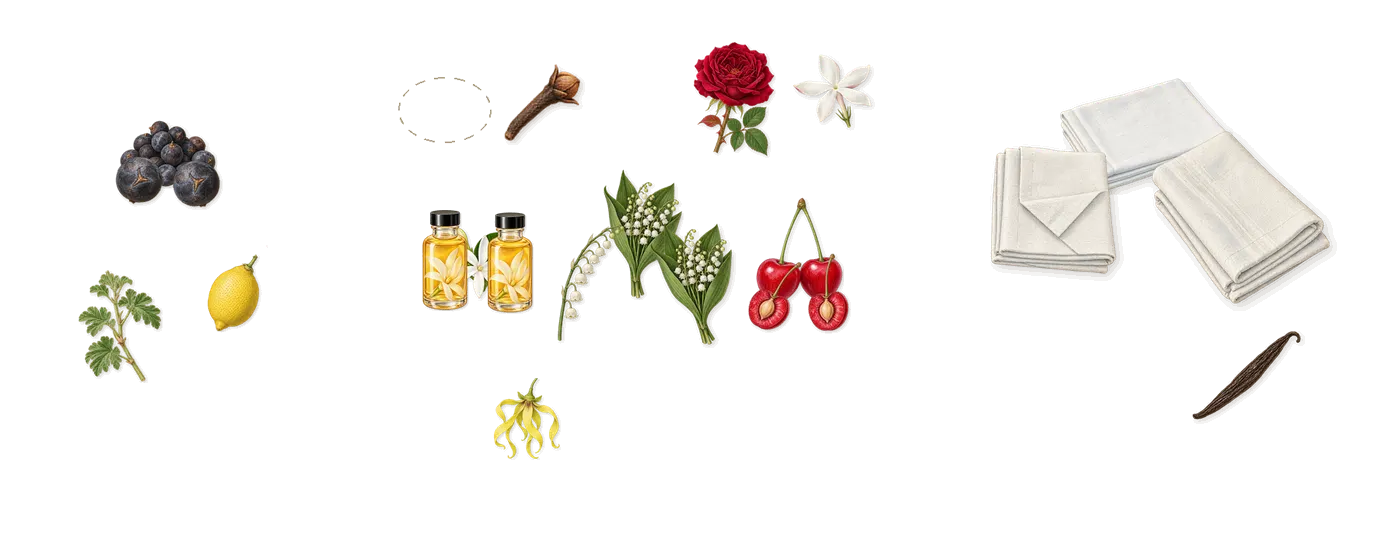 Sakura Snow’s scent picture, a draft: cherry, solar notes, juniper, lily of the valley, white musk, ylang-ylang drawn so far; dashed outlines where nothing is drawn yet