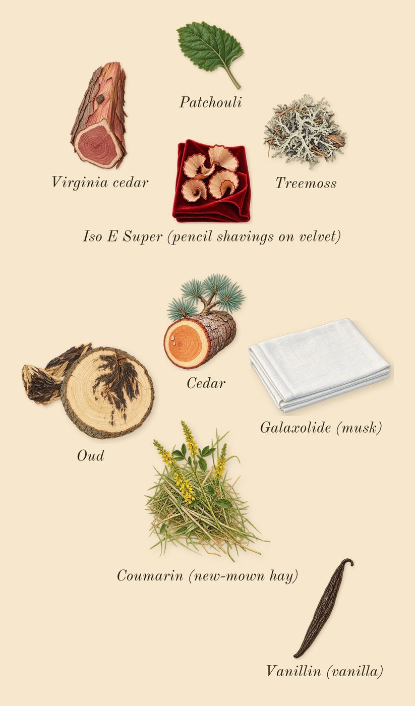Cool Elixir for Men, dry-down: Oud, Patchouli, Virginia cedar, Cedar, Treemoss, Iso E Super (pencil shavings on velvet), Vanillin (vanilla), Galaxolide (musk), Coumarin (new-mown hay)