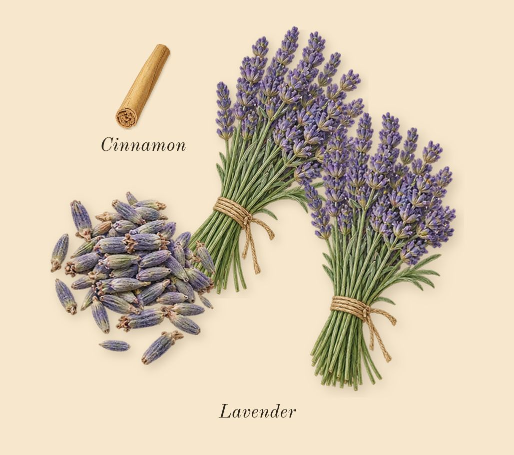 Cool Elixir for Men, heart: Lavender, Cinnamon