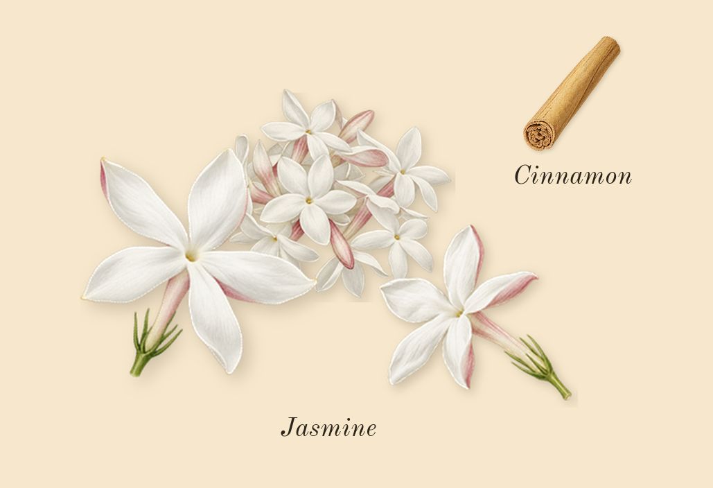Cool Elixir for Women, heart: Jasmine, Cinnamon