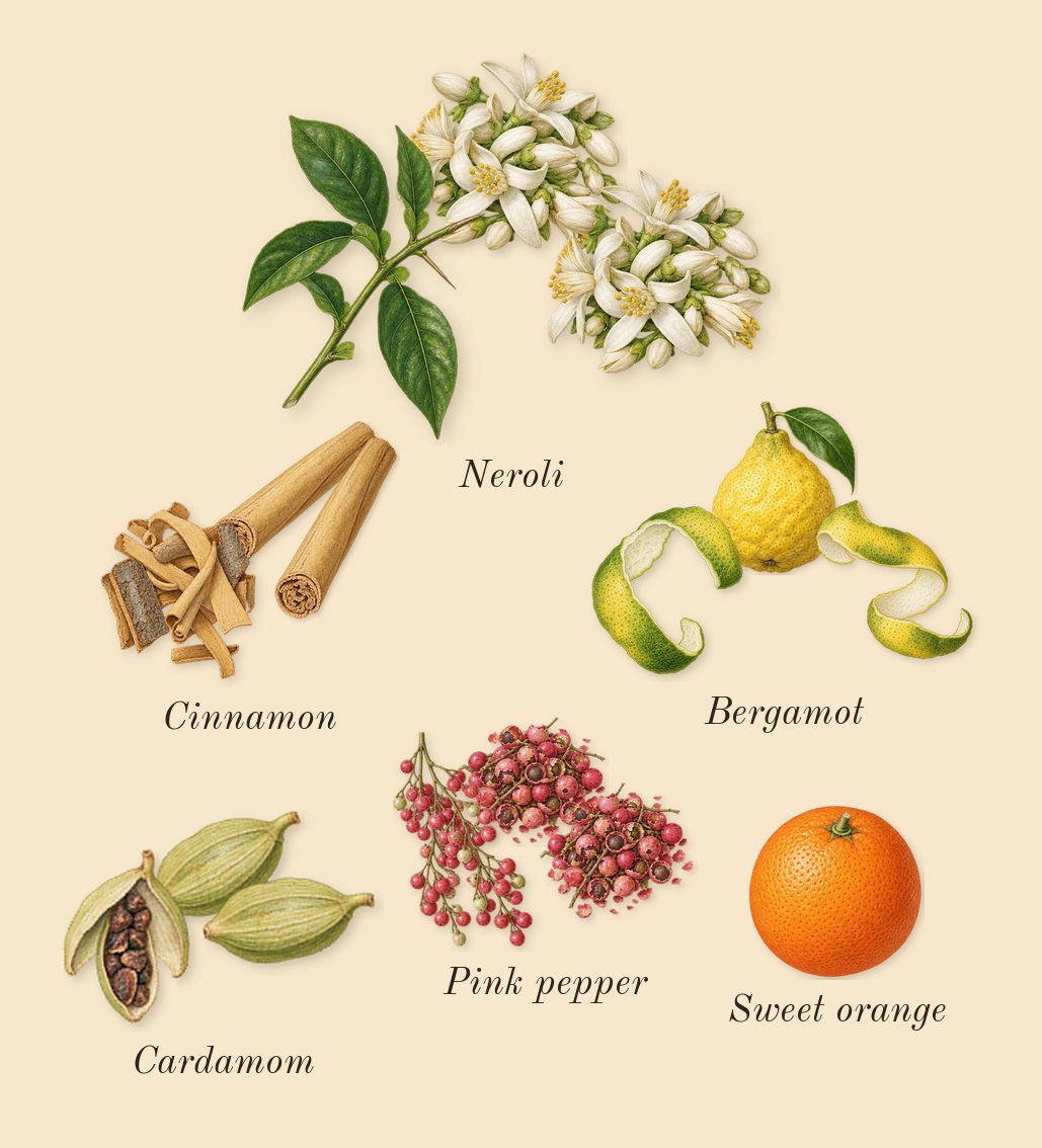 Decision 42, top notes: Pink pepper, Bergamot, Cardamom, Neroli, Cinnamon, Sweet orange