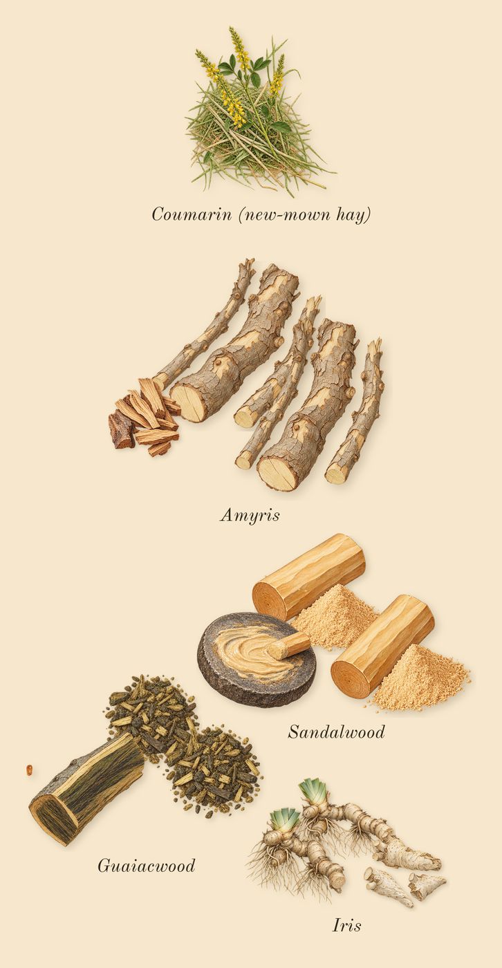 Dia 40 Woman, dry-down: Iris, Sandalwood, Amyris, Guaiacwood, Coumarin (new-mown hay)