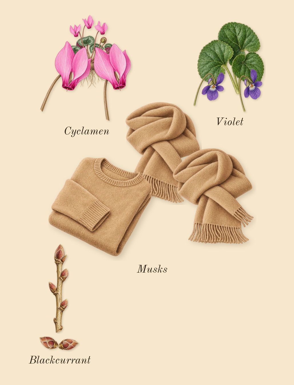 Dia 40 Woman, top notes: Cyclamen, Musks, Blackcurrant, Violet