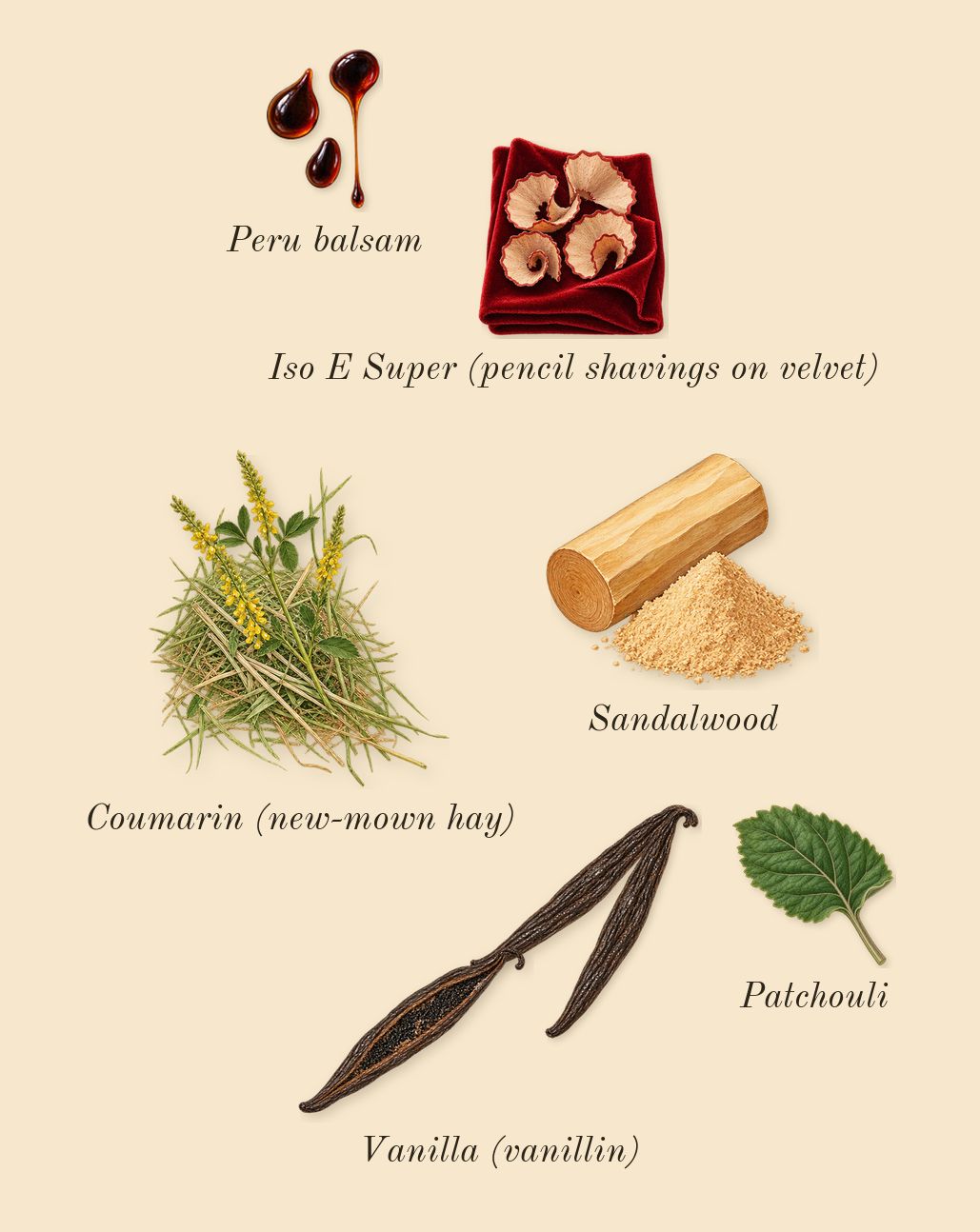Addict, dry-down: Vanilla (vanillin), Patchouli, Sandalwood, Peru balsam, Iso E Super (pencil shavings on velvet), Coumarin (new-mown hay)