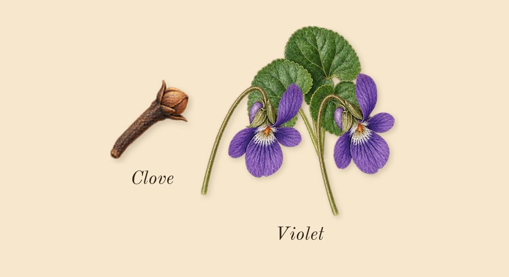 Fahrenheit, heart: Violet, Clove