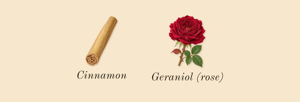 Homme Intense, heart: Cinnamon, Geraniol (rose)