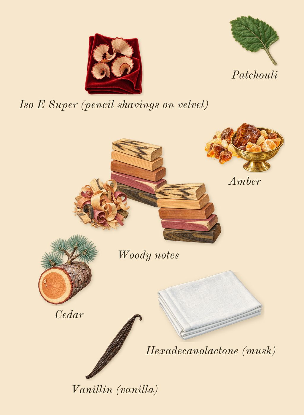 Homme Sport, dry-down: Woody notes, Amber, Patchouli, Cedar, Iso E Super (pencil shavings on velvet), Vanillin (vanilla), Hexadecanolactone (musk)