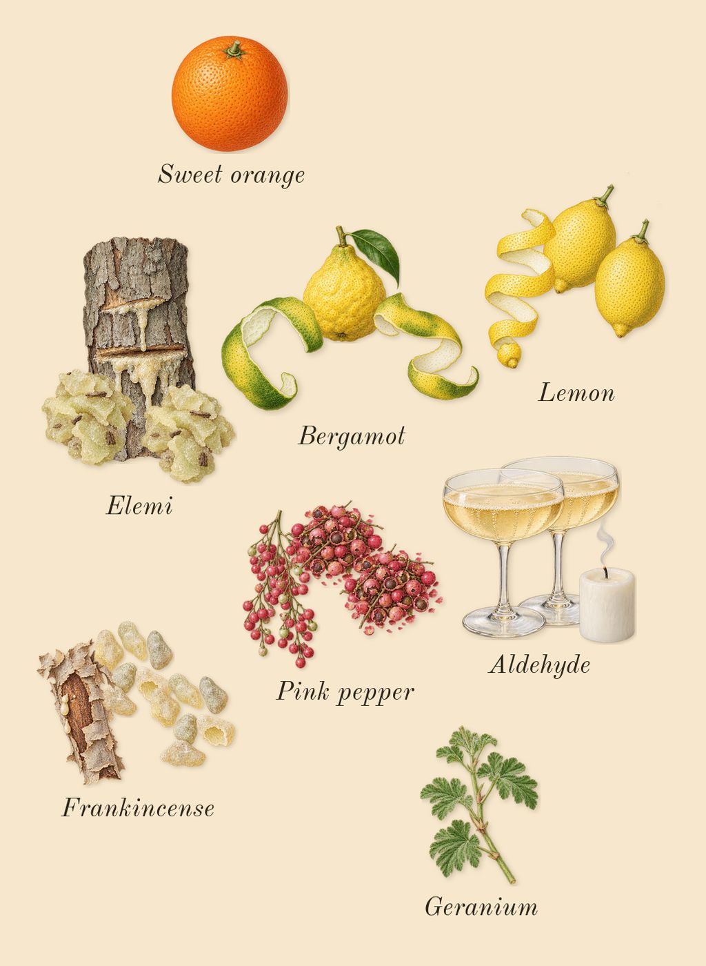 Homme Sport, top notes: Bergamot, Elemi, Pink pepper, Frankincense, Lemon, Aldehyde, Geranium, Sweet orange
