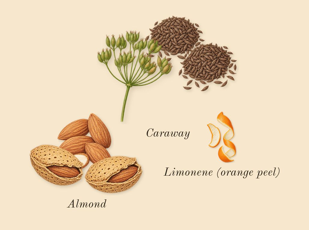 Hypnotic Poison, top notes: Almond, Caraway, Limonene (orange peel)