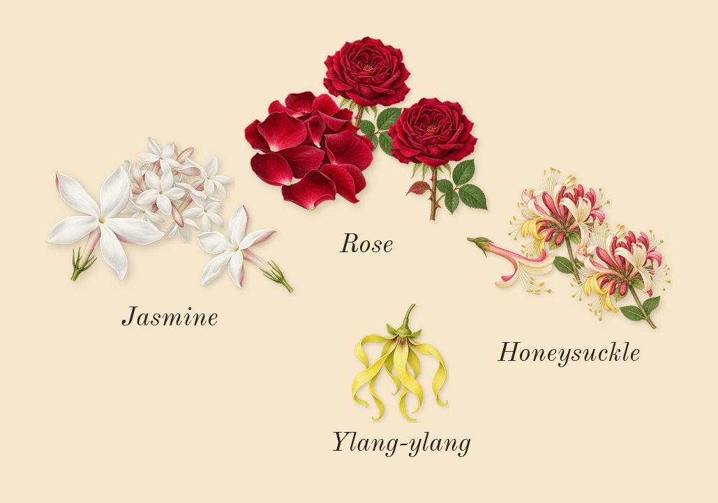 J'adore Parfum d'eau, heart: Jasmine, Rose, Honeysuckle, Ylang-ylang