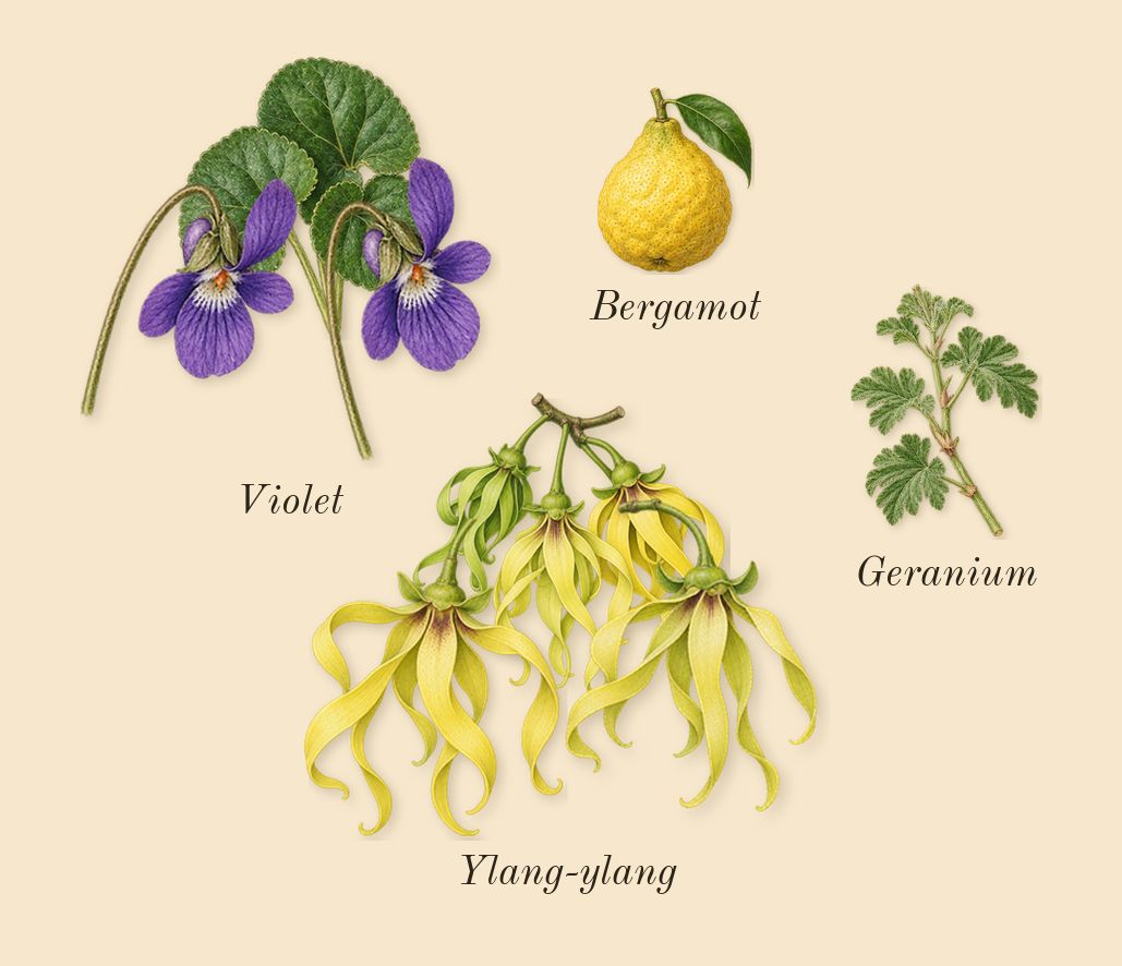 J'adore, top notes: Ylang-ylang, Violet, Bergamot, Geranium