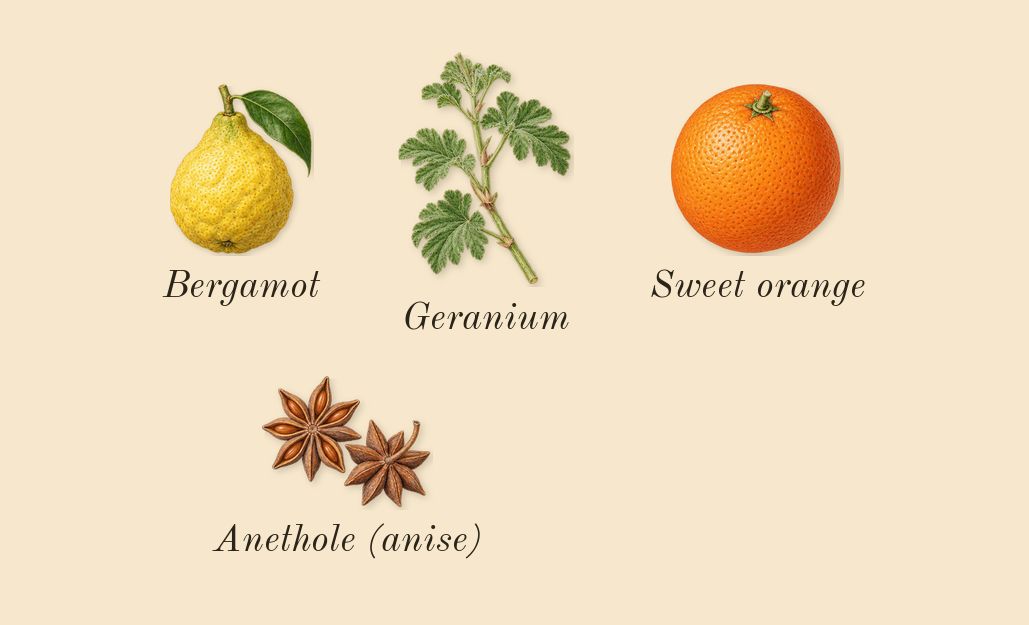 J'adore Intense, top notes: Bergamot, Sweet orange, Geranium, Anethole (anise)