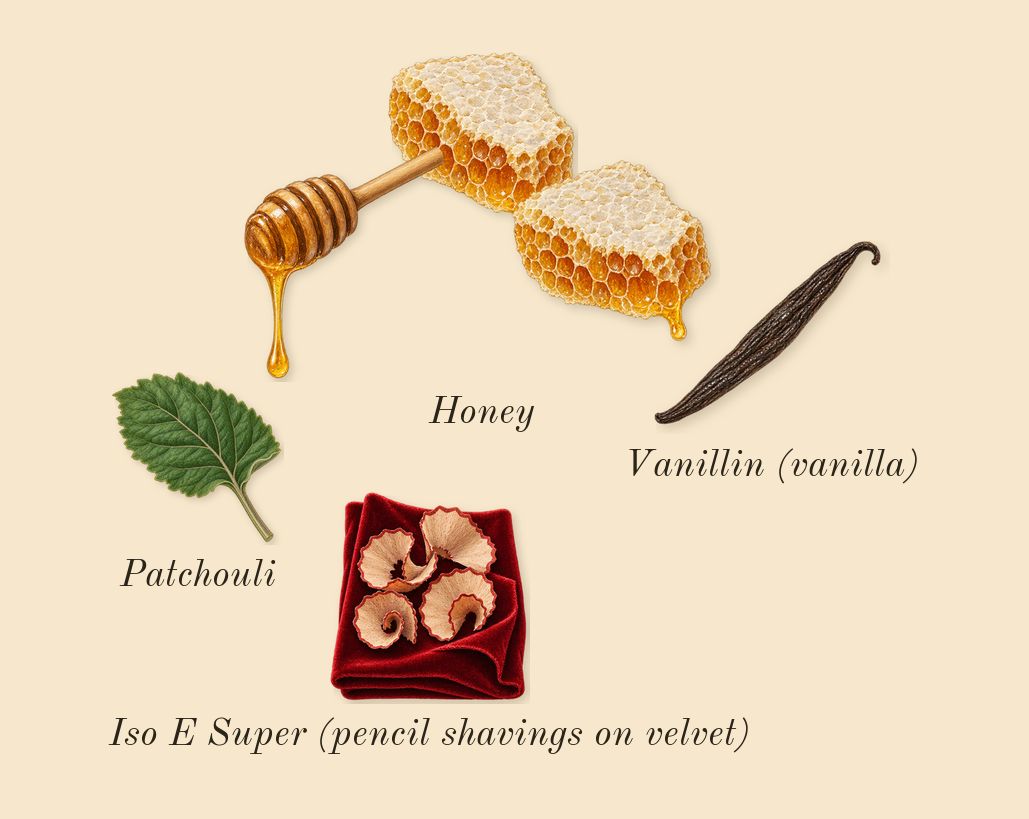 Jasmin des Anges, dry-down: Honey, Patchouli, Iso E Super (pencil shavings on velvet), Vanillin (vanilla)