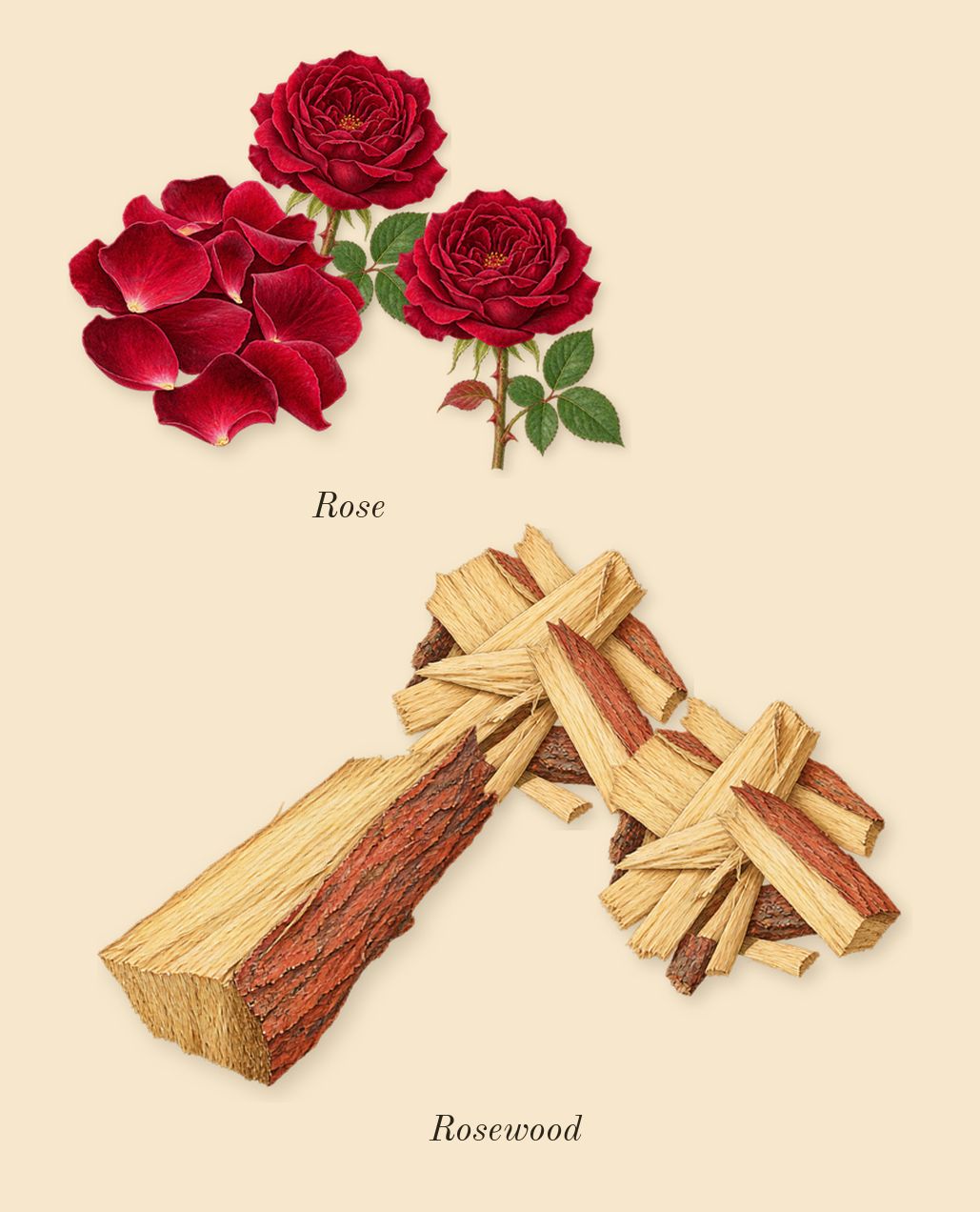 Miss Dior, heart: Rose, Rosewood