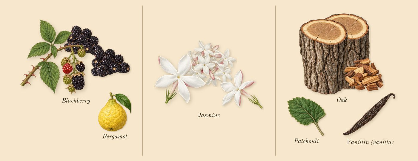 Miss Dior Essence’s scent picture, a draft: blackberry, jasmine, oak, bergamot, patchouli, vanillin (vanilla) drawn so far; dashed outlines where nothing is drawn yet