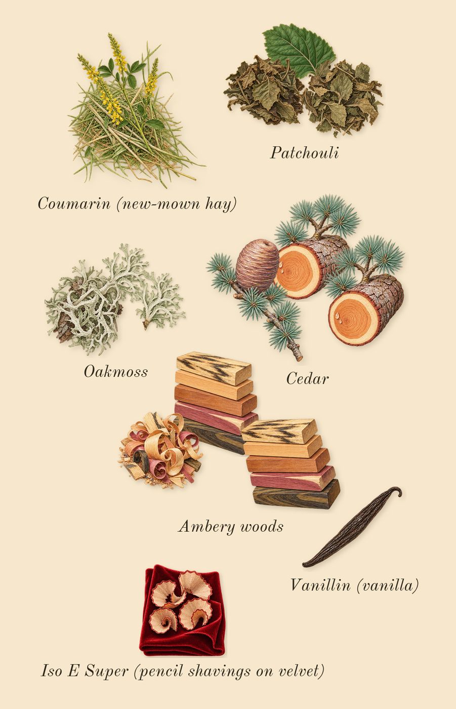 Miss Dior, dry-down: Ambery woods, Patchouli, Cedar, Oakmoss, Iso E Super (pencil shavings on velvet), Coumarin (new-mown hay), Vanillin (vanilla)
