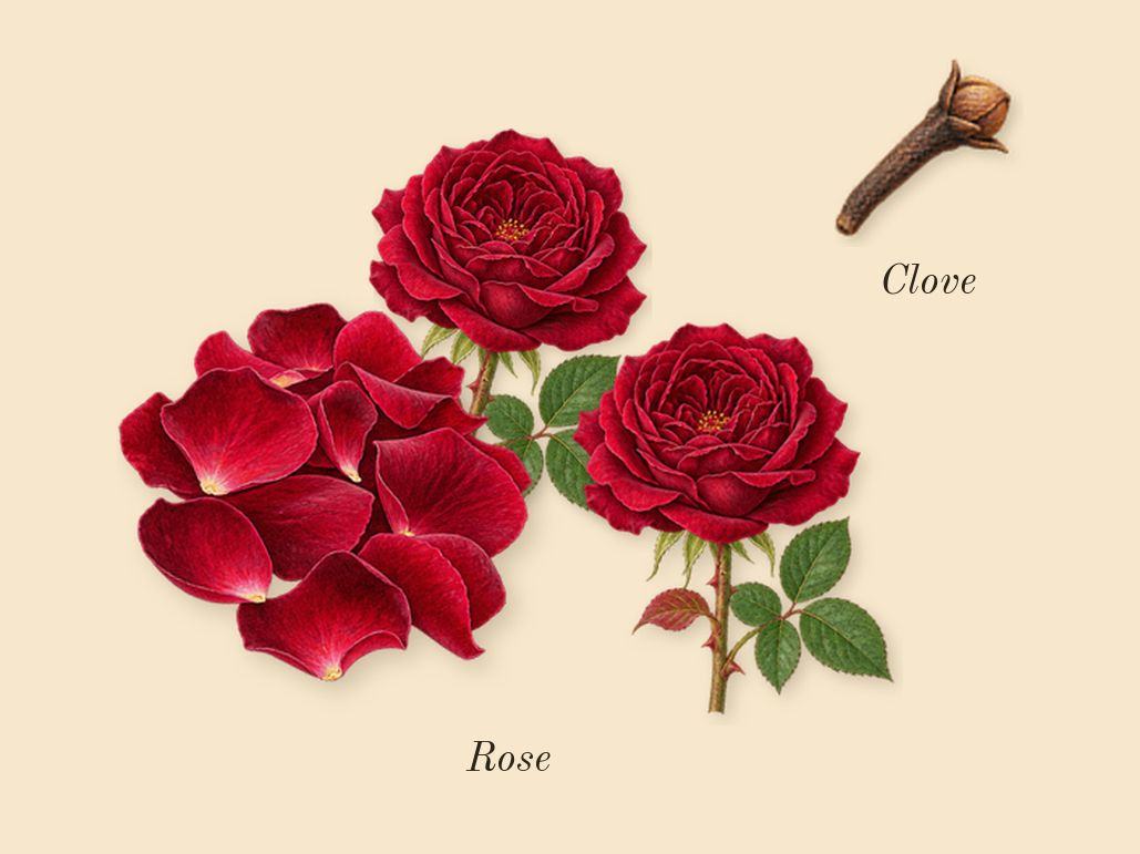 Oud Ispahan, heart: Rose, Clove