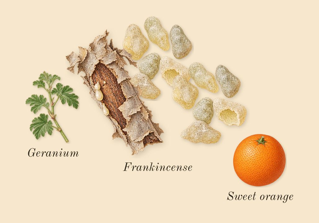 Oud Ispahan, top notes: Frankincense, Sweet orange, Geranium