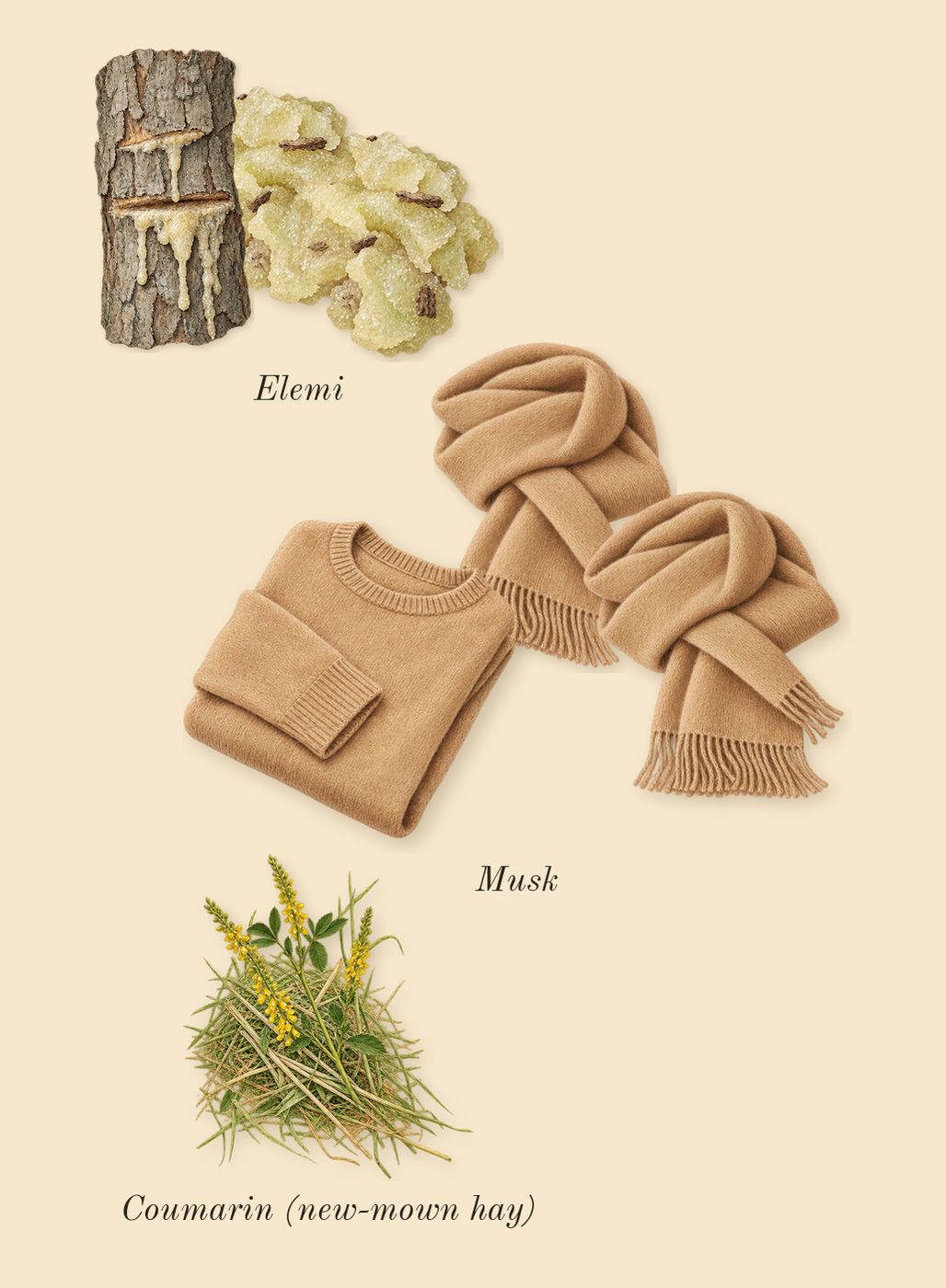 Sauvage Eau Forte, dry-down: Musk, Elemi, Coumarin (new-mown hay)