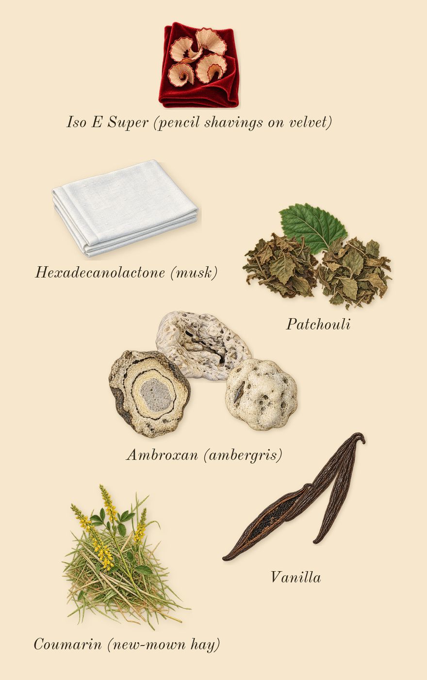 Sauvage, dry-down: Vanilla, Ambroxan (ambergris), Patchouli, Iso E Super (pencil shavings on velvet), Coumarin (new-mown hay), Hexadecanolactone (musk)