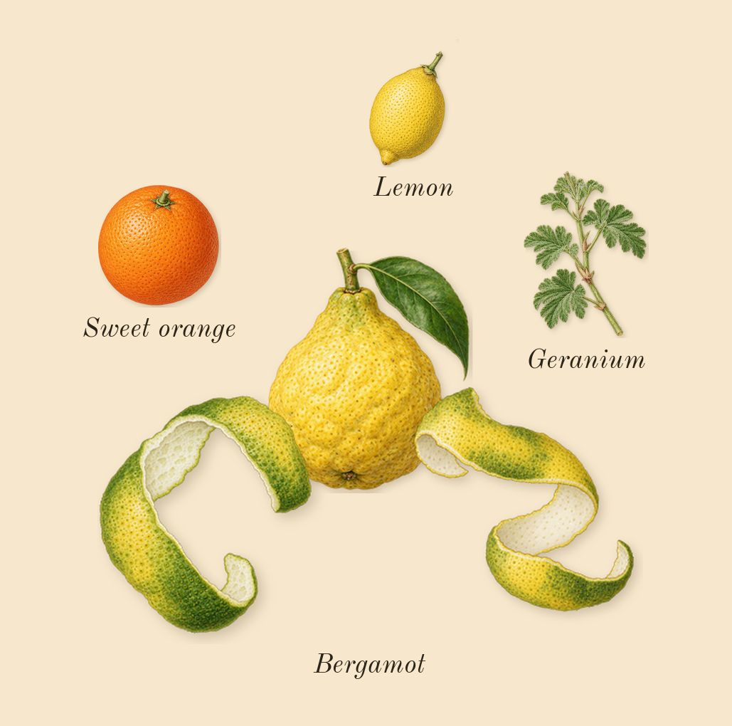 Sauvage, top notes: Bergamot, Lemon, Geranium, Sweet orange
