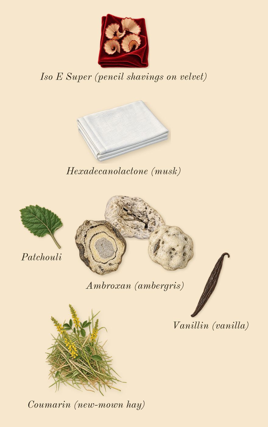 Sauvage, dry-down: Ambroxan (ambergris), Patchouli, Iso E Super (pencil shavings on velvet), Coumarin (new-mown hay), Vanillin (vanilla), Hexadecanolactone (musk)