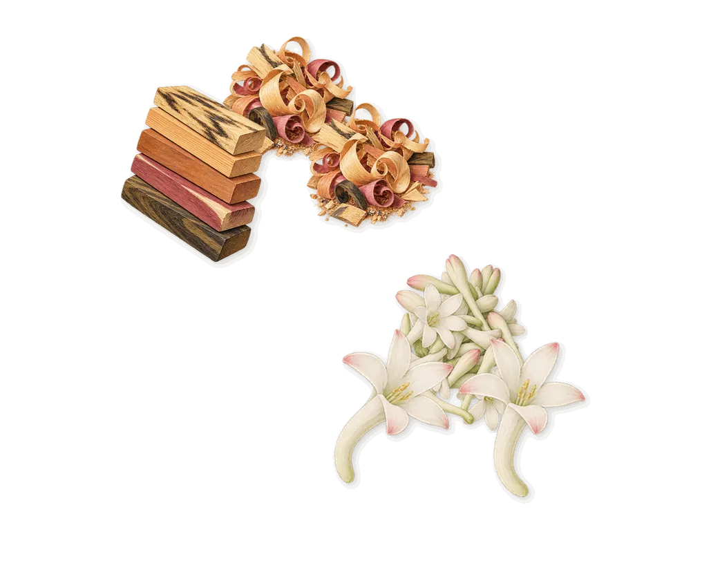 Do Son, what stays: Tuberose, Woody notes