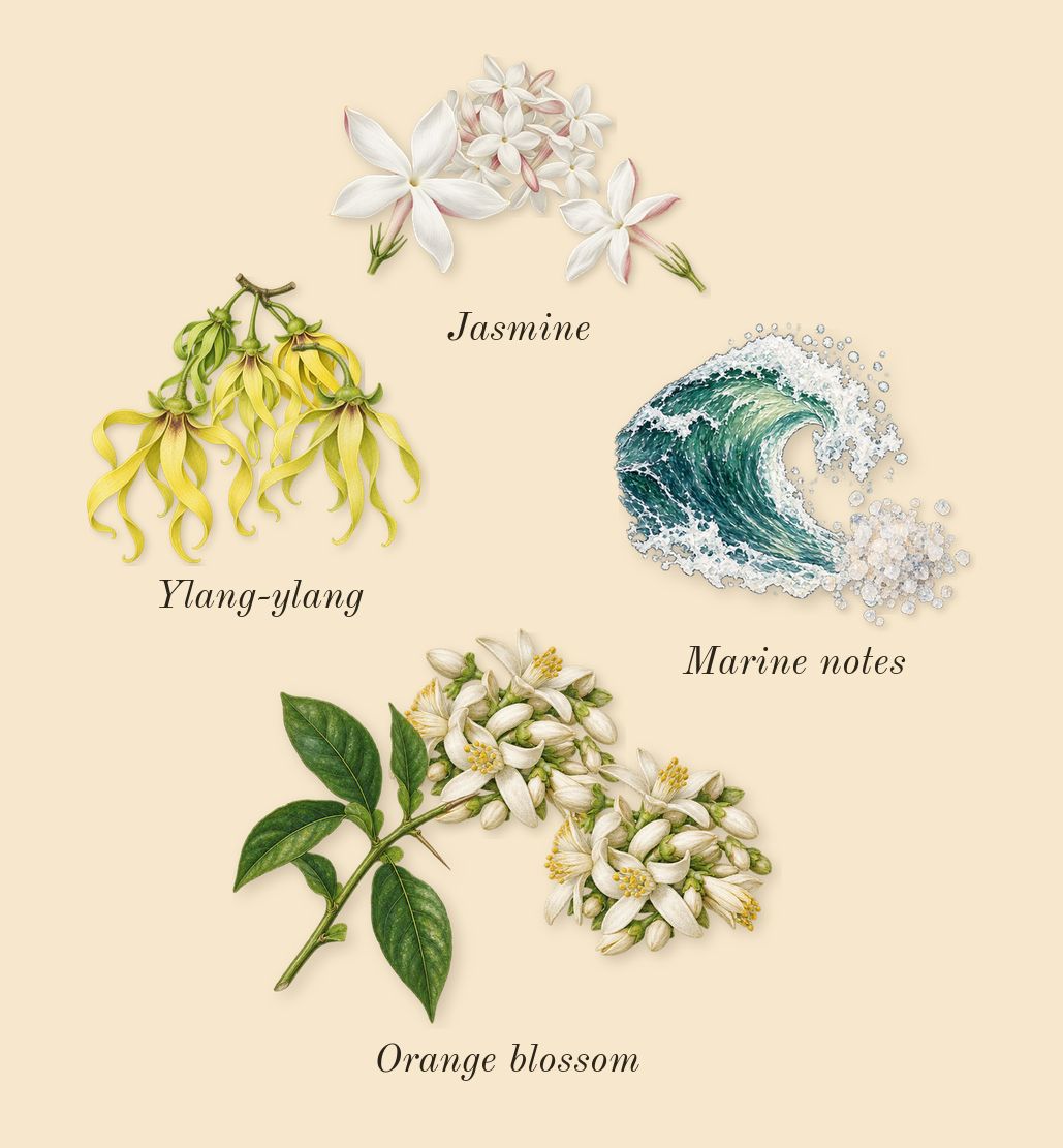 Do Son, heart: Orange blossom, Jasmine, Marine notes, Ylang-ylang