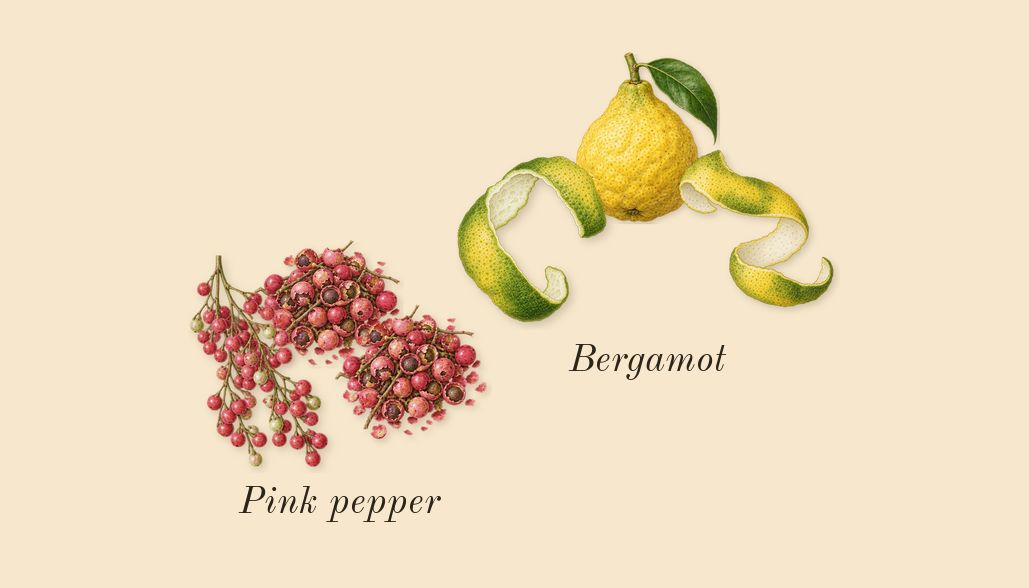 Eau Capitale, top notes: Bergamot, Pink pepper