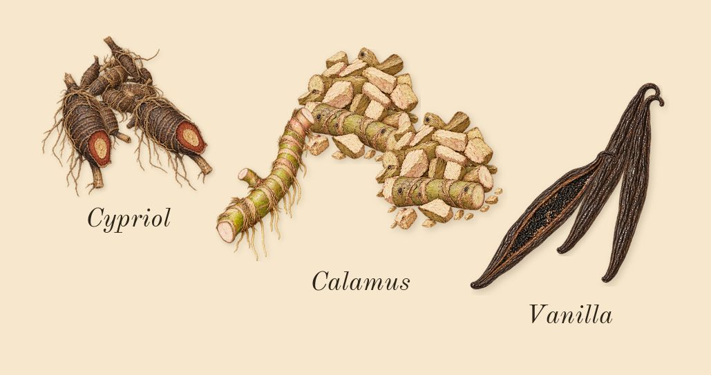 Eau Duelle, dry-down: Vanilla, Cypriol, Calamus