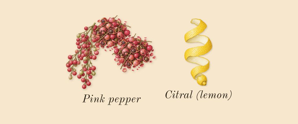 Eau Duelle, top notes: Pink pepper, Citral (lemon)