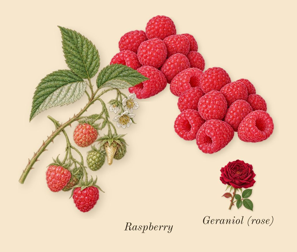 Eau Rihla, heart: Raspberry, Geraniol (rose)