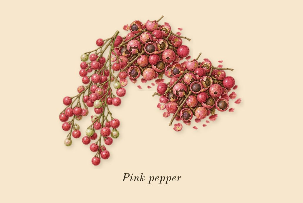 Eau Rihla, top notes: Pink pepper