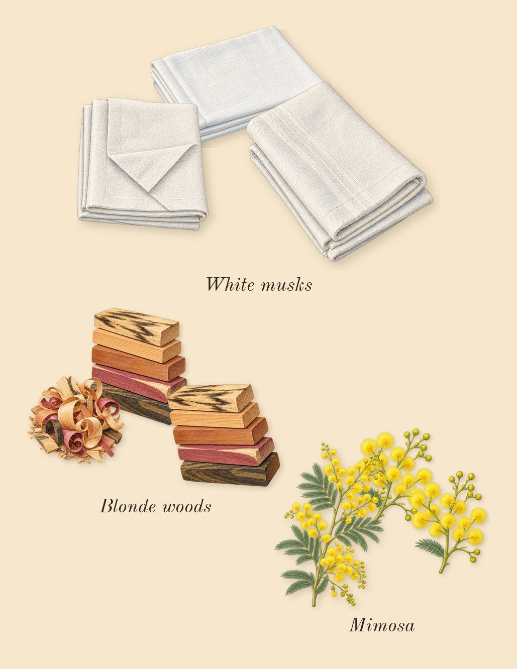 L'Eau Papier, dry-down: White musks, Mimosa, Blonde woods