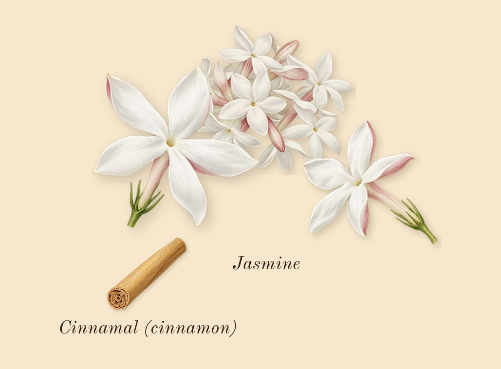 Orphéon, heart: Jasmine, Cinnamal (cinnamon)