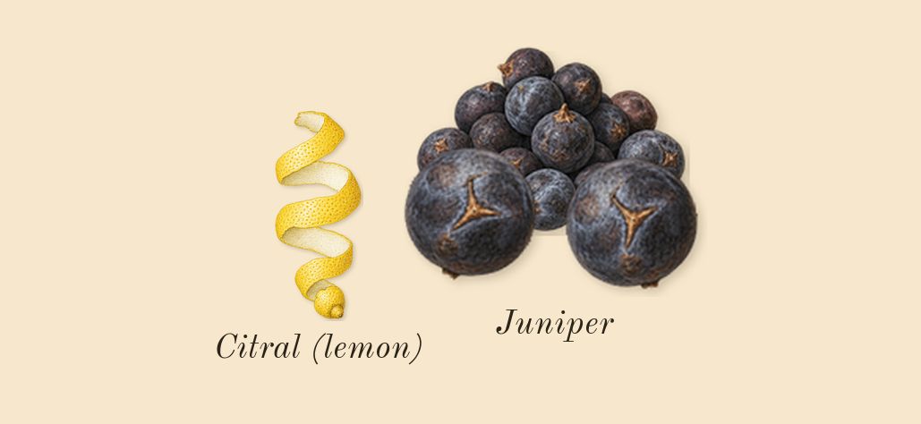 Orphéon, top notes: Juniper, Citral (lemon)