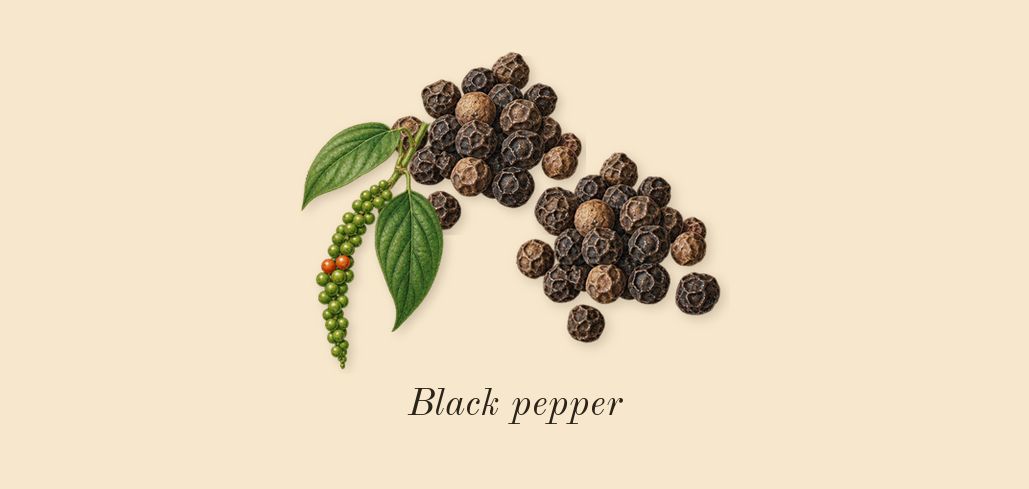Philosykos, top notes: Black pepper