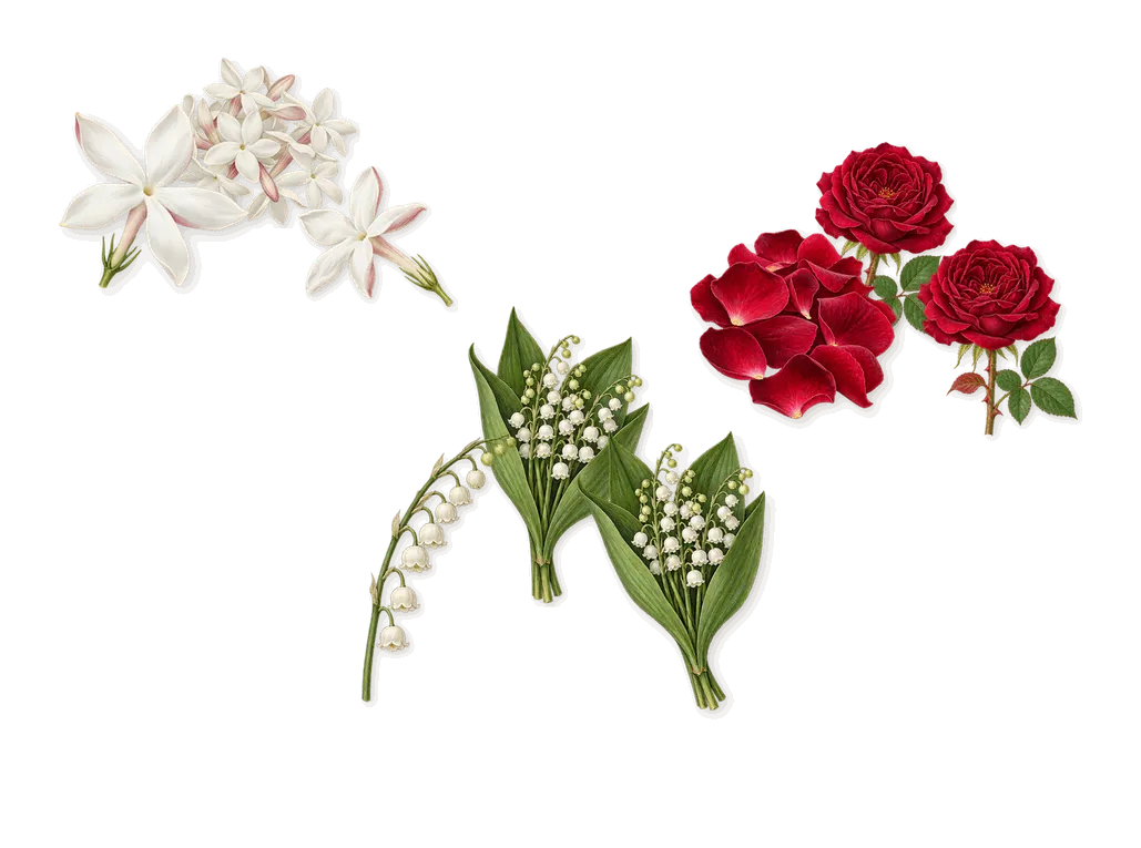 Be Delicious Fresh Blossom, as it settles: Lily of the valley, Rose, Jasmine